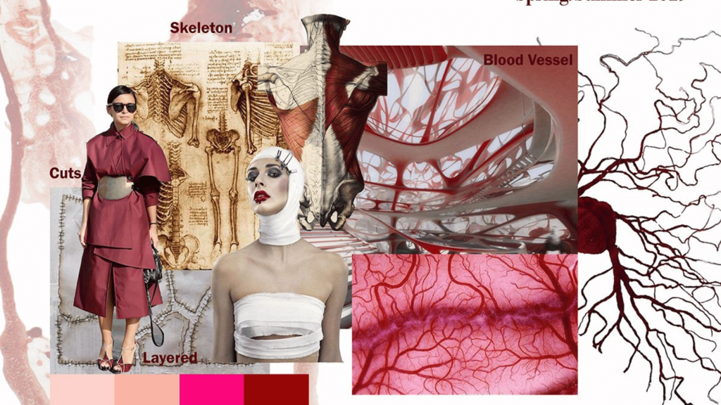 Benefits of Having an Online Fashion Portfolio