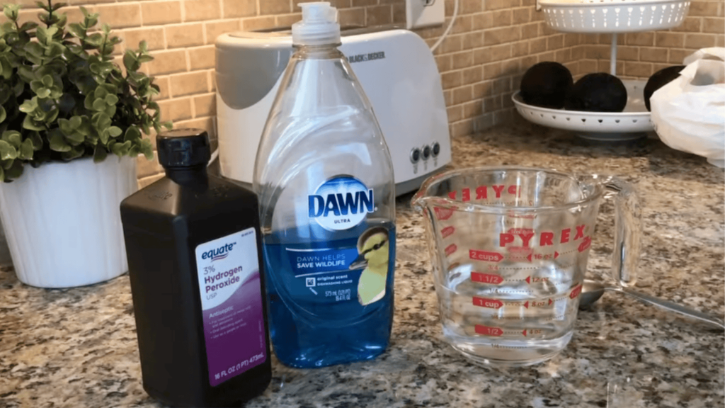 step 2 carpet stains