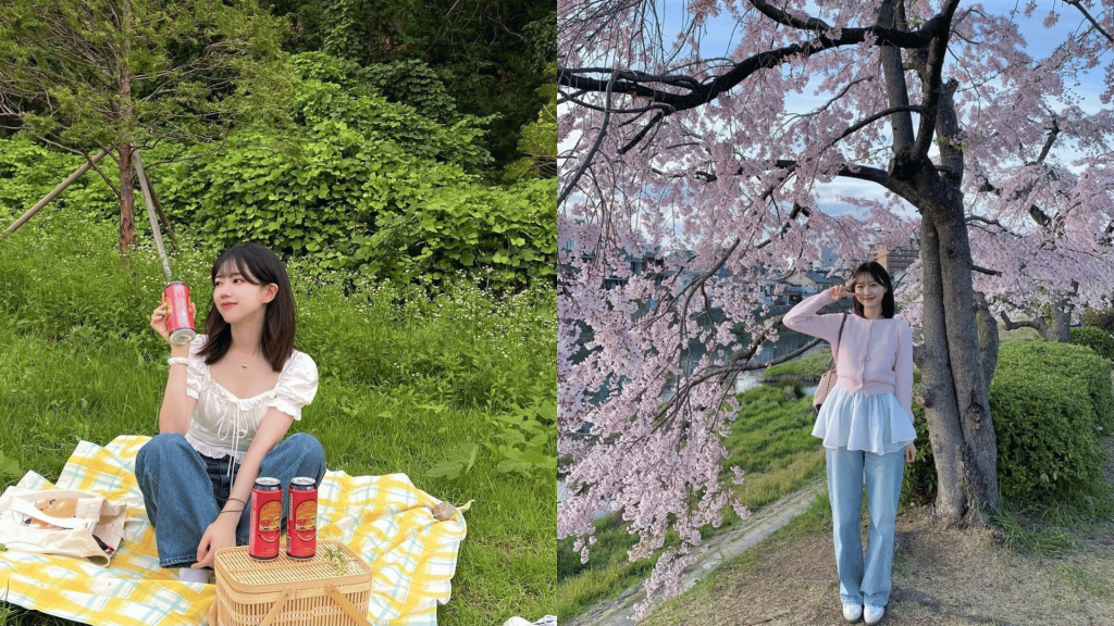 Riverside Hanami Picnic